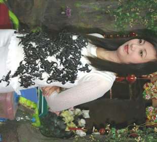 Skorpion Queen