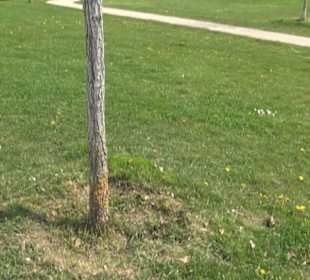 Bürgerpark Herrschaftsgärten