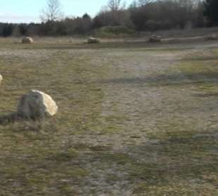 Ort der Stille Böttingen