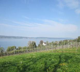 Wallfahrtskirche Birnau