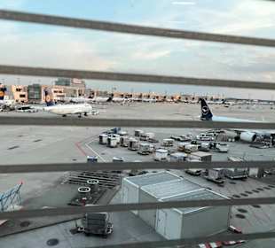 Lufthansa Senator Lunge non Schengen FRA