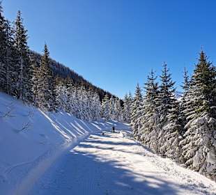 Wandern Schladming