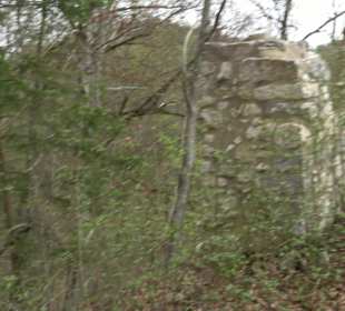 Wanderung rund um das Rusenschloss Gerhausen