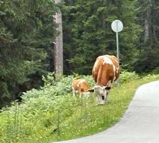 Sport & Freizeit