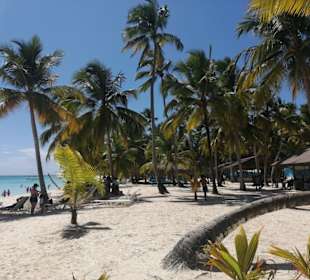 Saona Strand