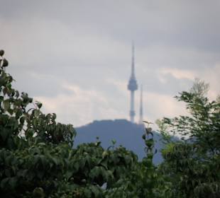 Vista su Seoul Tower