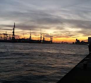 Sonnenuntergang über Finkenwerder