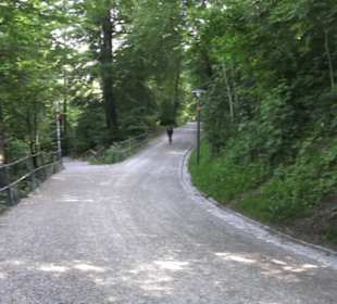 Uetliberg