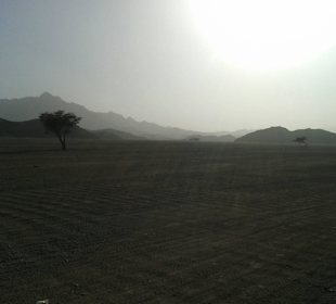 Beduinentour Landschaft