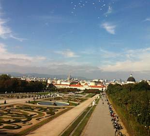 Schloß Belvedere in der Nähe der Pension Bosch