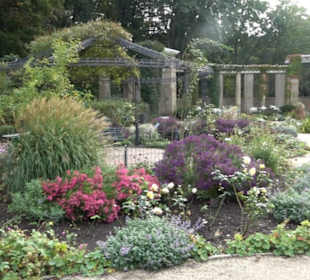 Rosengarten im Tiergarten