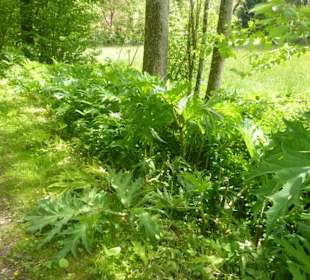 Wanderweg Mariabrunn-Röhrmoos