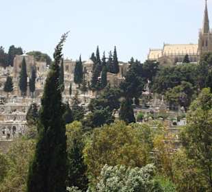 Zentralfriedhof bei Paola