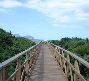 Holzsteg über die geschützten Dünen 