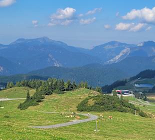 Aussichtsplattform/Steinplatte