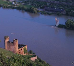 Der Mäuseturm