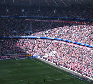 Allianz Arena Bundesliga 2007/08