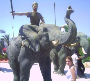 Medina Hammamet Jasmin