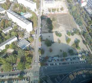 Widok z wieży widokowej