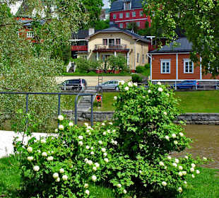 Старый город