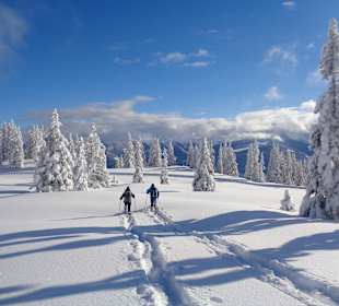 Wandern Schladming