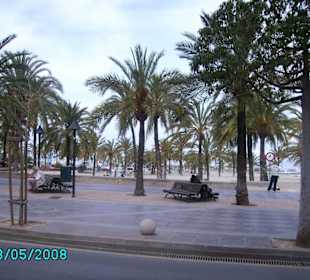 Ein Ruhepool gleich am Hafen