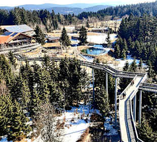 Waldwipfelweg St Englmar/Maibrunn