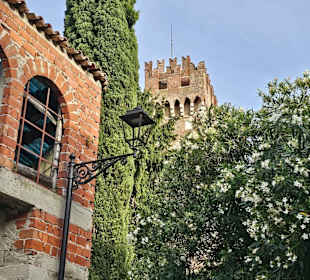 Lazise Scaligo Scaligero