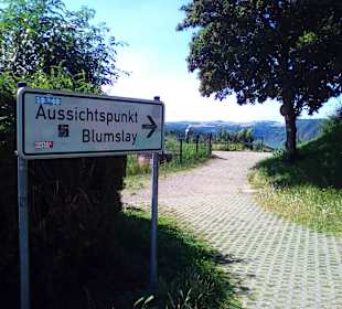 Moseltalbrücke Koblenz
