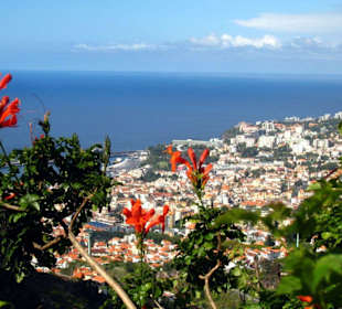 Traumhafter Blick auf Funchal