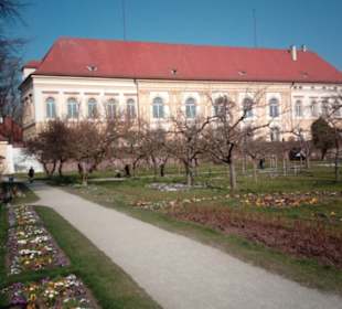 Schloss Dachau Restaurant