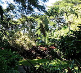 Impressionen aus dem Jardin Botanique de Deshaies