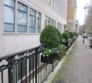 Impressionen aus Westminster