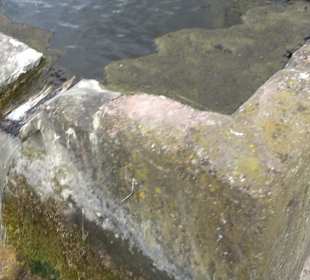 Rathaus Grünmettstetten