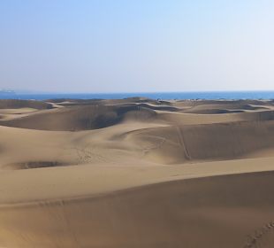 Dünen von Maspalomas