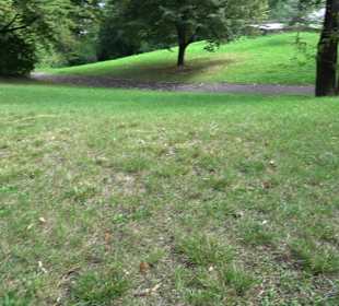 Aussichtspunkt Hasenberganlage