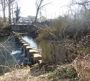 Rundwanderung Haimhausen