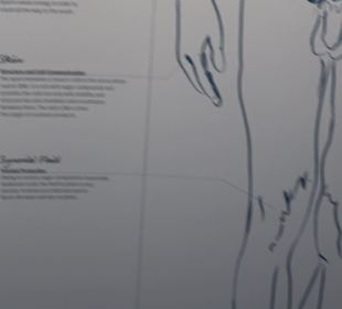 Deutsches Technikmuseum