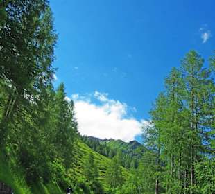 Tolle Landschaft bei guten Wetter