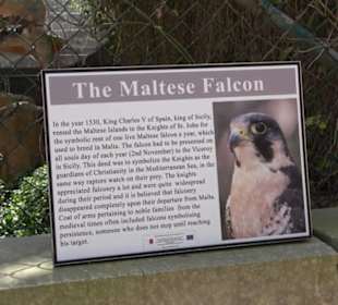 Malta Falconry Centre