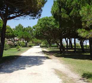 Spaziergang über die Strandpromenade Argelès-Plage