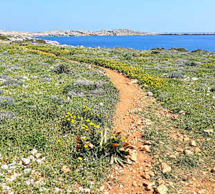 Nationalpark Kap Greco