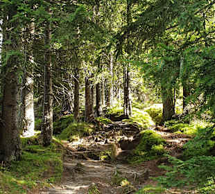 Wandern