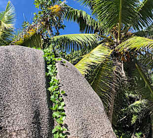 Anse sur d‘argent
