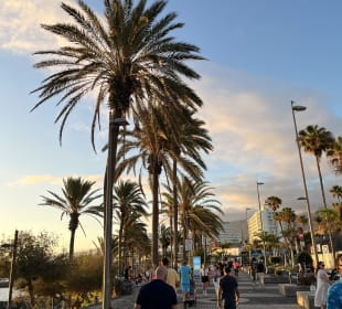 Strandpromenade Playa de las Americas