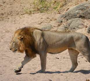 Ruaha Nationalpark