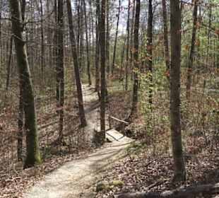 Waldsportpfad im Wasenwald