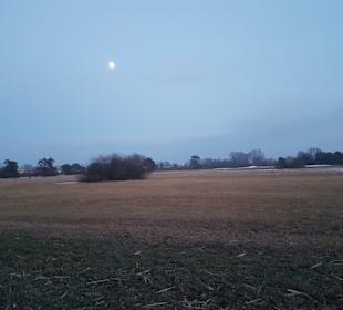 Ausblick