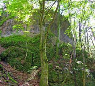 Der Therapeutische Wanderweg