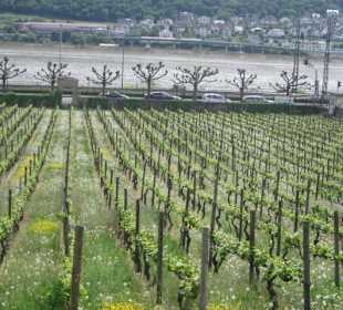 Altstadt Rüdesheim